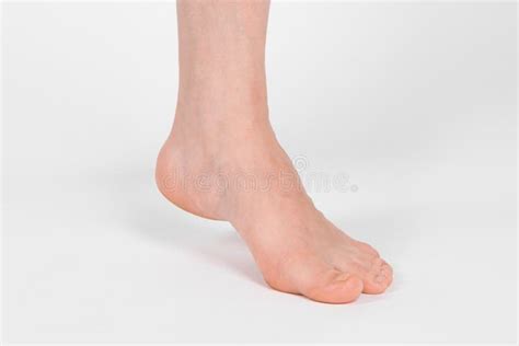 Barefoot And Legs Isolated On White Background Closeup Shot Of Healthy