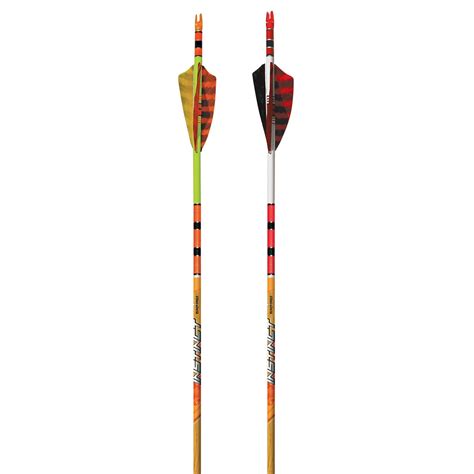 Black Eagle Instinct Arrow Crested Wfeathers 6 Pack Heights Outdoors