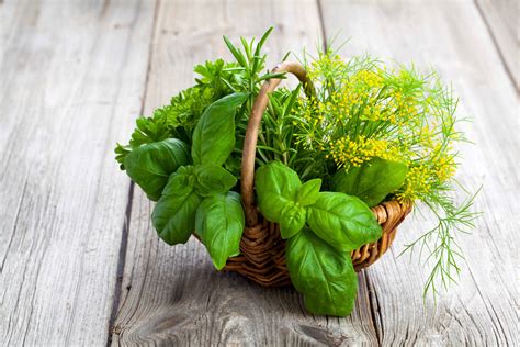 Growing Herbs In Pots Indoors Or Outdoors