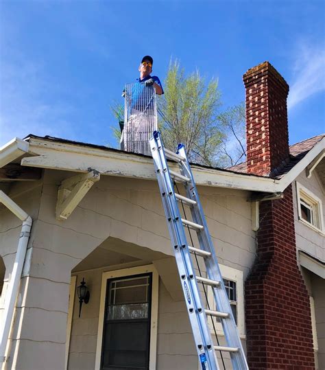 Where one ant is found, you can expect a much. Blue Beetle Pest Control Kansas City | Pest Control