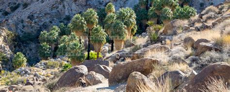 Enjoy Mountains And Desert At 49 Palms Oasis Hiking Trail 20 Nature Pictures