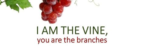I Am The Vine Ye Are The Branches Franklin Church Of Christ