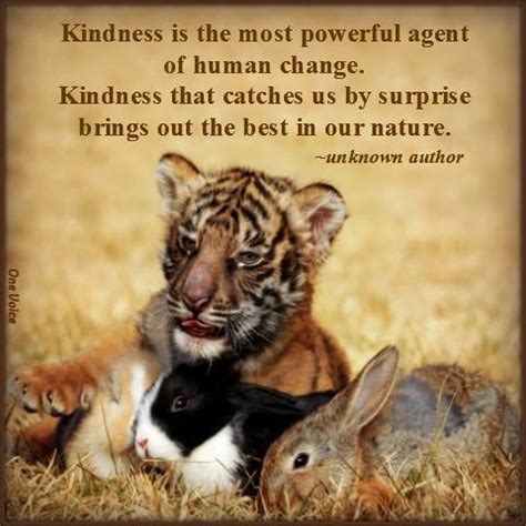Quotes contained on this page have been double checked for their citations, their accuracy and the impact it. Quotes About Kindness To Animals. QuotesGram