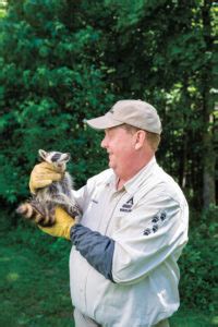 10 wildlife control myths busted - Pest Management Professional : Pest ...