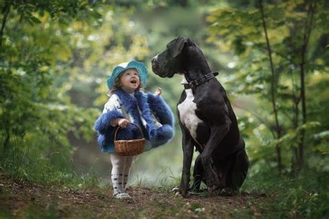40 Amazing Pictures Of Great Dane And Their Bond With The Kids