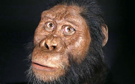 Face Of Earliest Human Ancestor Recreated As Scientists Find