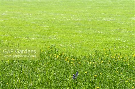 Long Meadow Grass Wi Stock Photo By Zara Napier Image 0084667