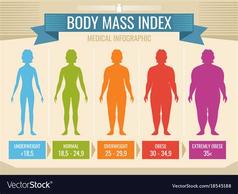 Woman Body Mass Index Vector Medical Infographic Body Mass Index SexiezPicz Web Porn