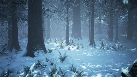 Ue4 Winter Forest Willi Hammes Fantasy Landscape Winter Forest