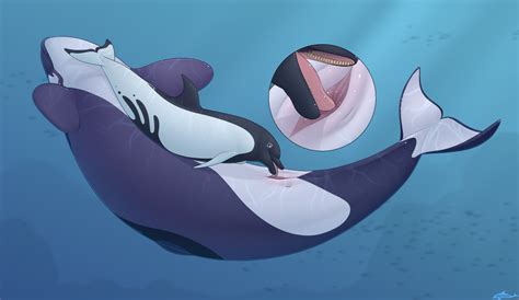 Rule 34 Cetacean Cunnilingus Delphinoid Duo Female Feral Genitals Hi