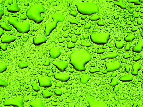 Green Background Water Droplets Free Stock Photo Public Domain Pictures