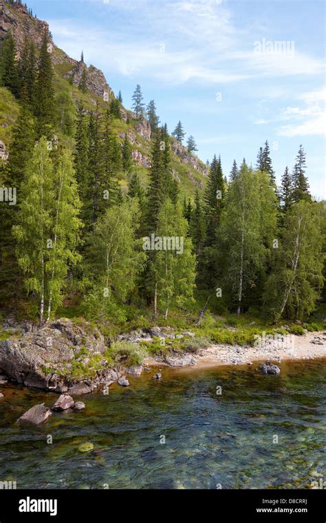 One Of The Most Beautiful Mountain Rivers Of Altai Kumir Stock Photo