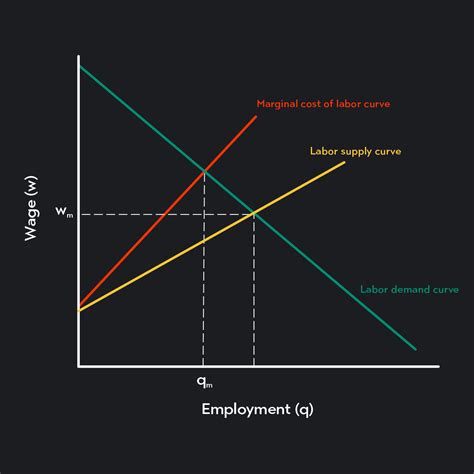 Labor Market Supply Curves And Demand Curves Outlier