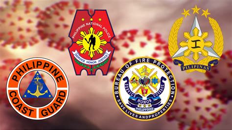 Pnp Afp Bfp Pcg Rmn Networks