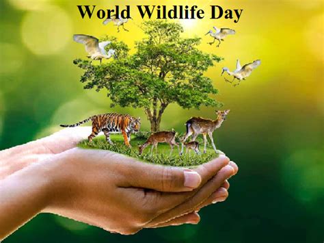 World Wildlife Day 2022 Theme Quotes Wishes Messages Slogans Key