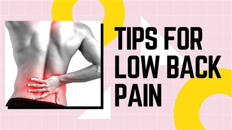 Low Back Pain Tips From A Dr Of Physical Therapy Disc Series Youtube