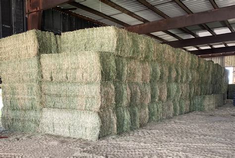 256 Bales 1st Cutting Alfalfa Hay For Sale Wyoming