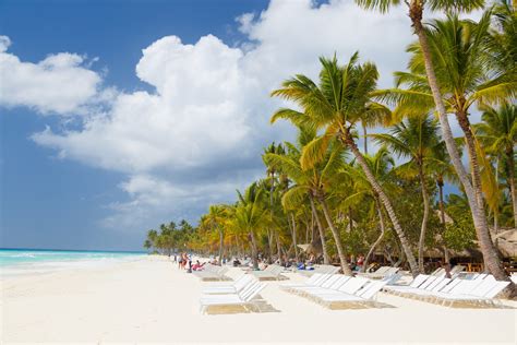 Caribbean Beach With Palms Free Stock Photo Public Domain Pictures
