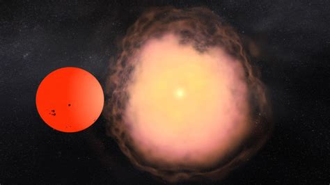 How Do We Spot White Dwarf Stars Orbiting Red Giants