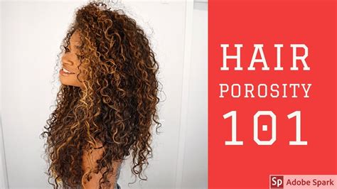 Know Your Hair Porosity Hair Porosity 101 And Mistakes You Could Be