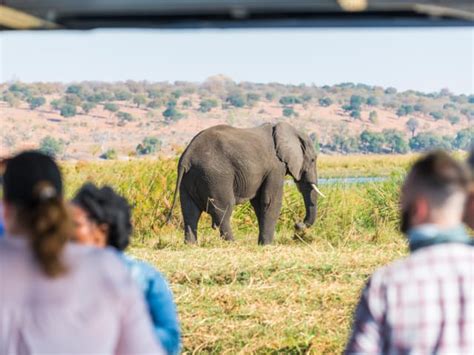 Chobe Marina Lodge Zamag Tours And Safaris Agricultural Tour