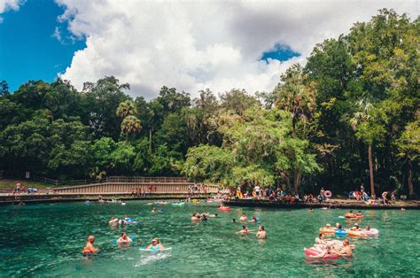 Wekiwa Springs Everything You Need To Know To Plan Your Visit The