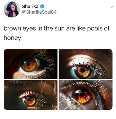Thirty Random Memes Perfect For Mindless Browsing Brown Eyes