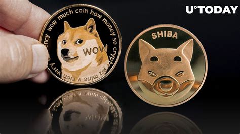 Shiba Inu Shib Vs Dogecoin Doge Rise Probably Over Heres Why
