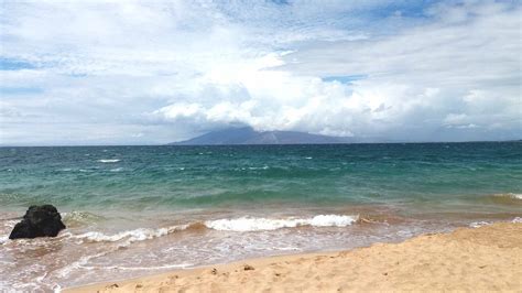 Hawaii Beach Zoom Background Download Free Virtual Backgrounds