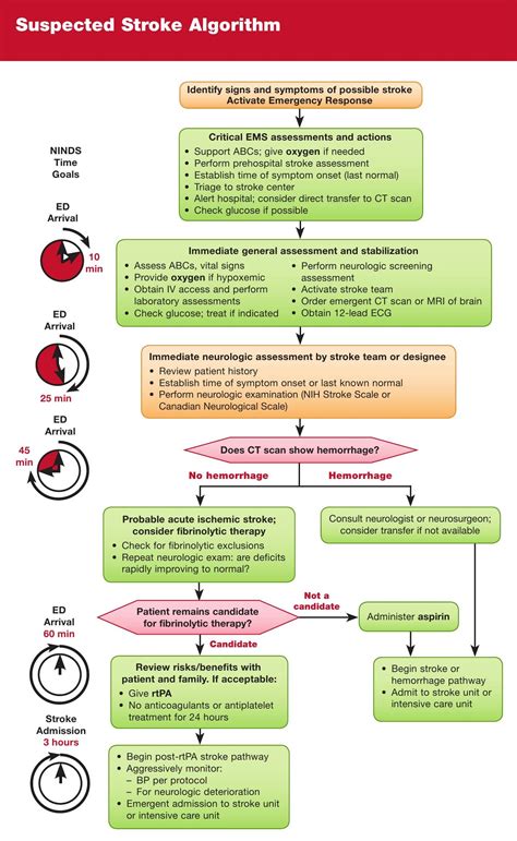 Acls Pocket Reference Cards Printable