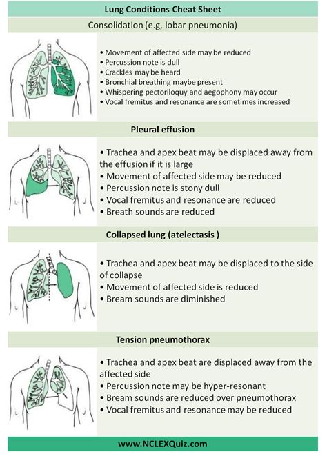 Lung Conditions Cheat Sheet Medical Student Nursing Student Tips