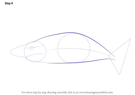 Learn How To Draw A Blacktip Shark Fishes Step By Step Drawing