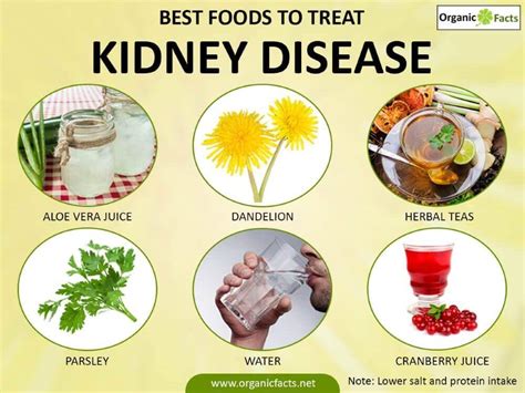 The Kidney Disease Solution Review - Worth Trying? Here is The Truth!