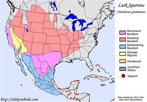 Lark Sparrow Species Range Map