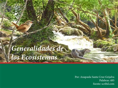Generalidades De Los Ecosistemas By William Fernando Barrios Carrillo