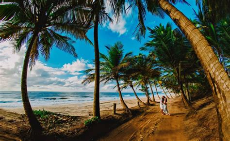 Praia de Coqueirinho um lugar paradisíaco e uma viagem inesquecível