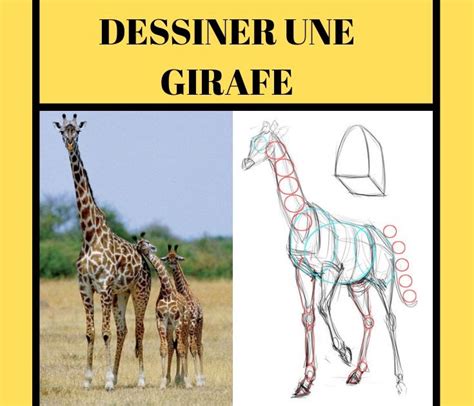 10 gambar garasi mobil rumah sederhana | rumah impian. …Dessinne Une Girafe - Idées Pour Simple Dessin Girafe Facile A Faire ... - Accompagnement en ...