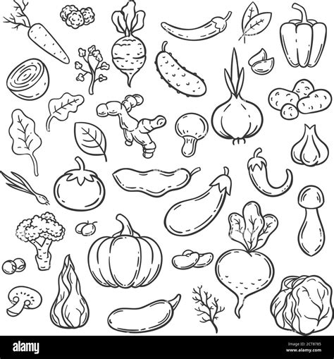 Doodle Vegetables Hand Drawn Different Carrot Onion And Cucumber