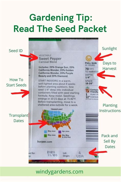 Starting Your Own Veggies Read The Seed Packet Vegetables Seeds