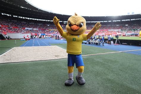 Canarinho Pistola é Barrado Em Jogos Do Brasil Na Copa Entenda