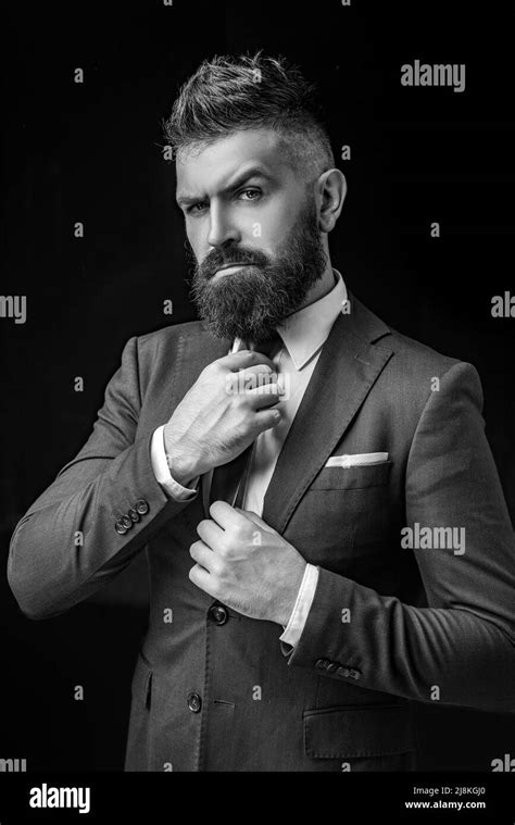 Bow Tie Fashion Bearded Man In Dark Grey Suit Man In Classic Suit