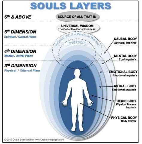 Anatomy Of A Soul Spirituality ｡ϟ Amino