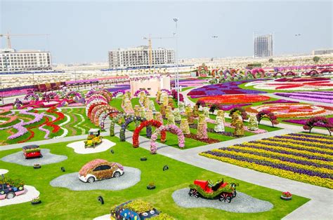 Cool Places To See Flowers Dubai Miracle Garden Grower Direct Fresh