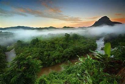 Rainforests Temperature Regulate Help Climate Earth Earths