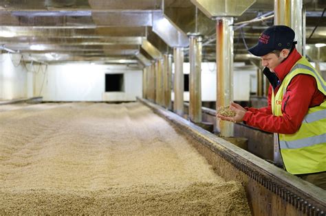 Scottish Malt Provenance At Crisp Scotlands Prime Malting Barley And Malt