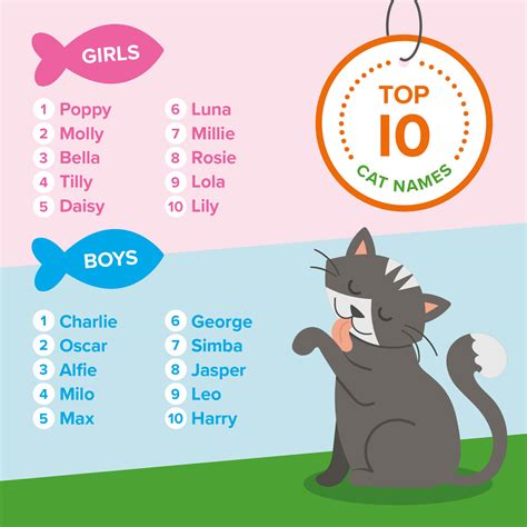 Whether you're in the classroom or keeping your little ones busy at home these days, we have fun, engaging, and free printable activity for your kiddos to enjoy. Animed Direct's Top Pet Names - Animed Direct