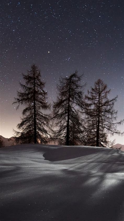 Free Download Wallpaper 3840x2160 Winter Trees Snow Night Landscape 4k