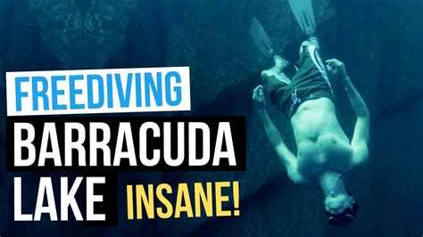 Insane Freediving Barracuda Lake Coron Philippines 🇵🇭 Youtube