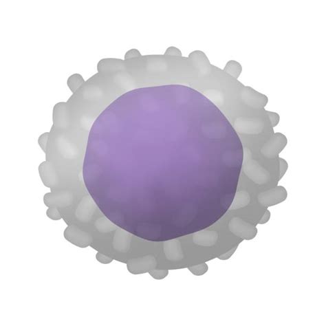 Helper T Cell Illustrations Royalty Free Vector Graphics And Clip Art