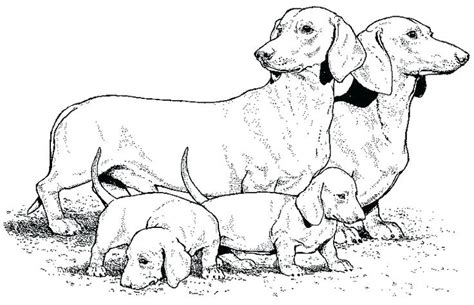 Https://wstravely.com/coloring Page/wiener Dog Coloring Pages